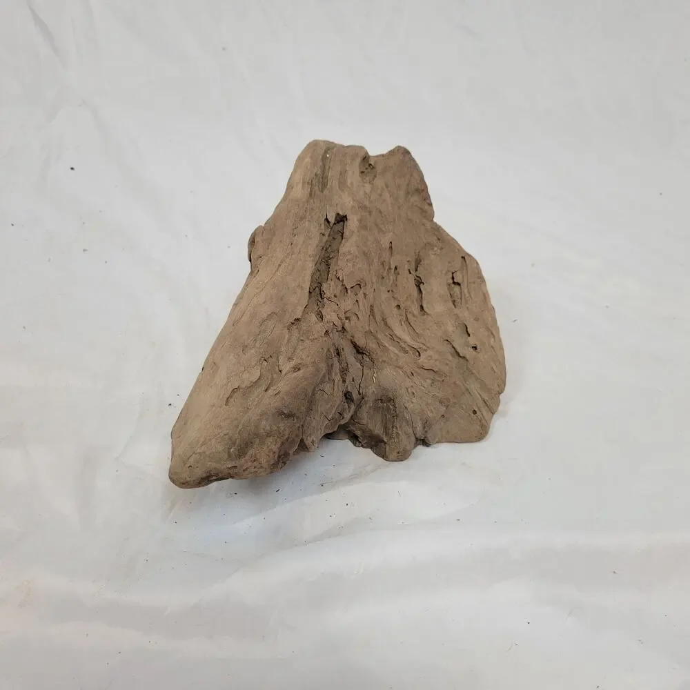 Ohio River Driftwood 12